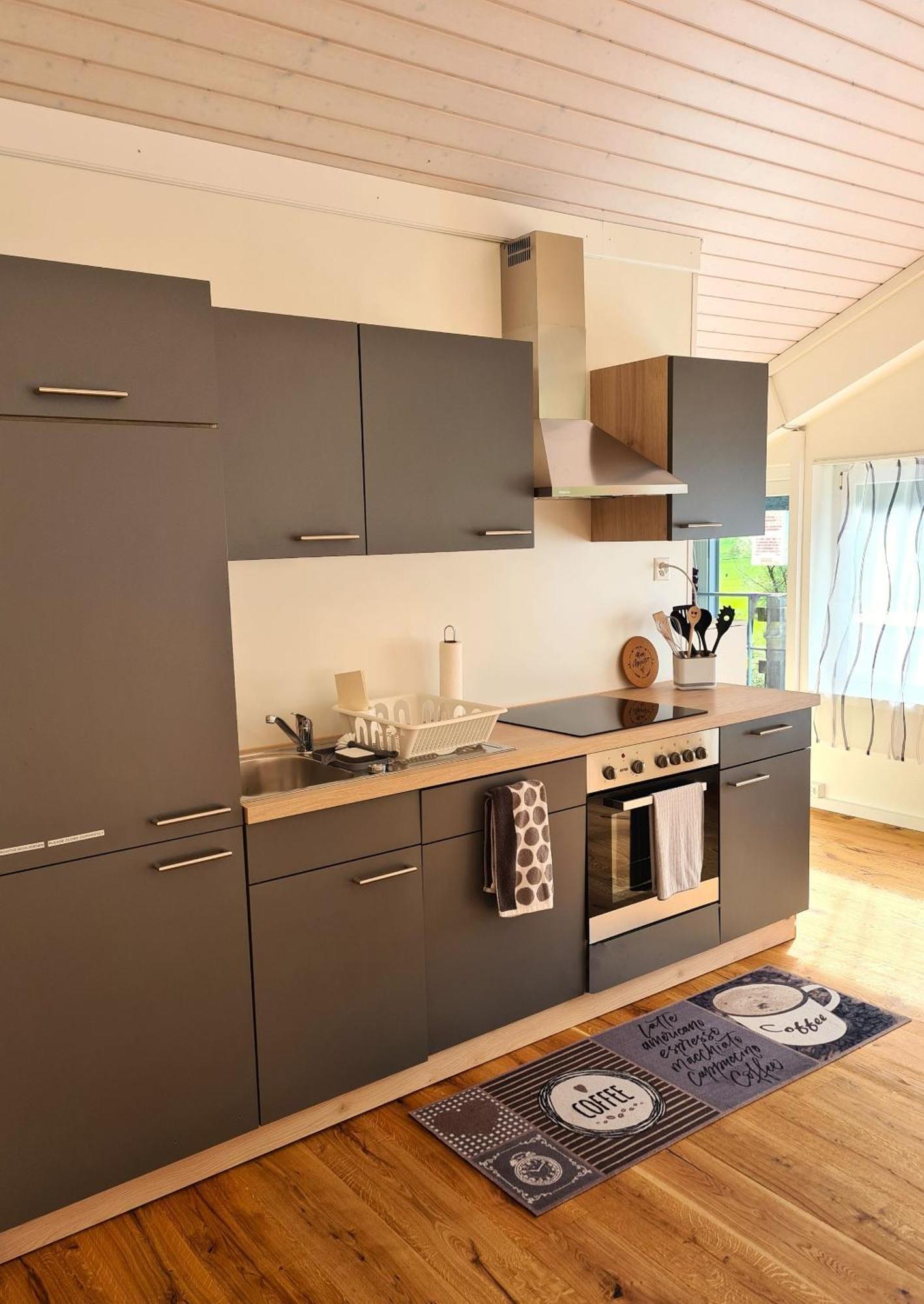 Muota River Loft & Muota Industry Apartment Near Stoos Muotathal Bagian luar foto
